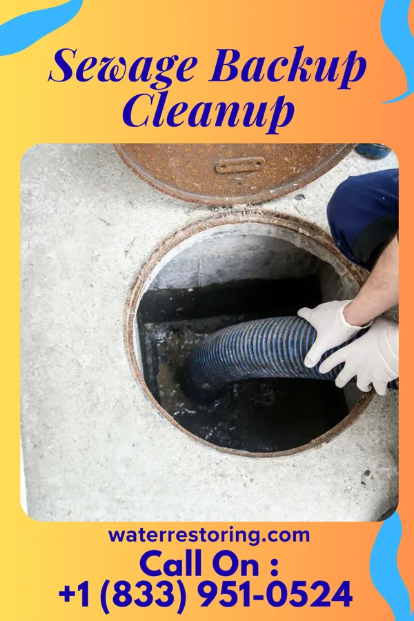 Sewage Backup Cleanup in Liberty, KS